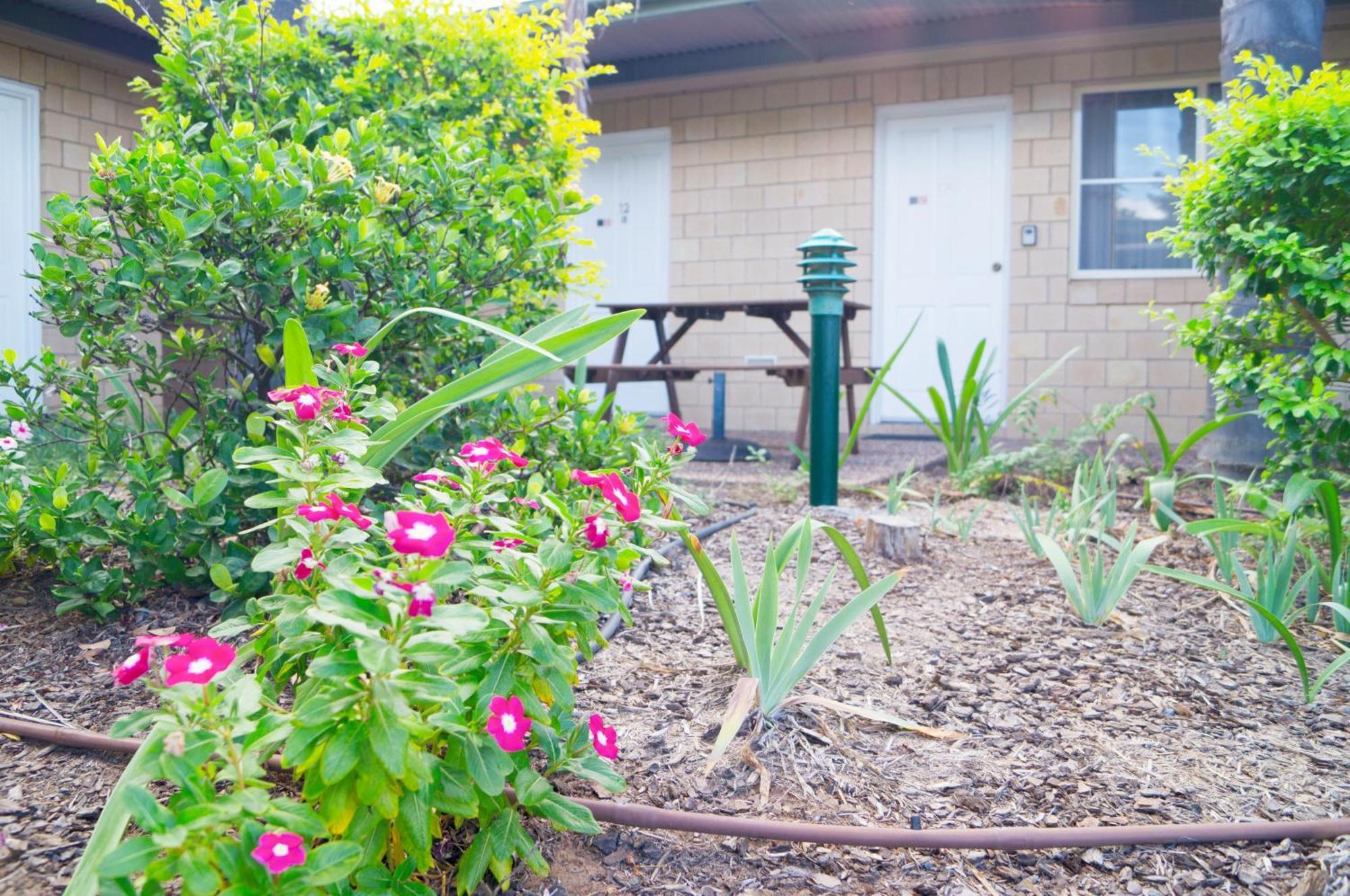 Jacaranda Country Motel Saint George Exterior foto